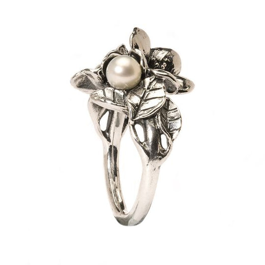 Hawthorn with Pearl