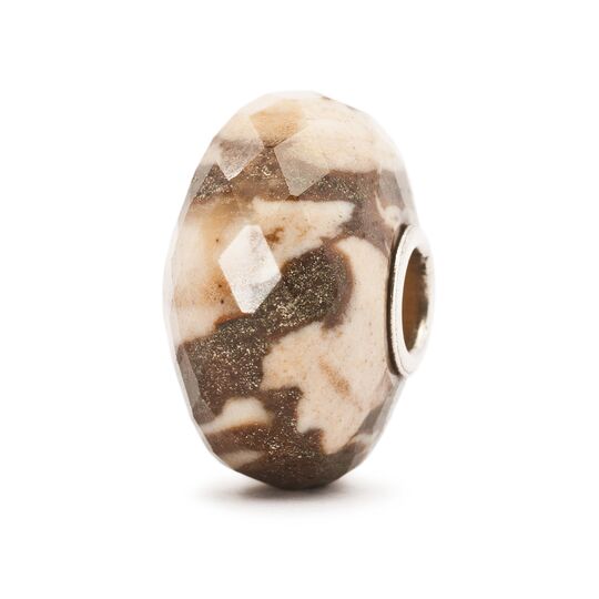 Zebra Jasper